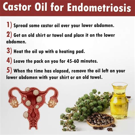 Aug 23, 2022 To make the beetle spray, mix 2 tsp. . How does castor oil help endometriosis